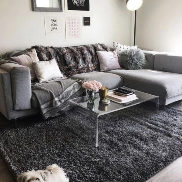 Cozy-Small-Apartment-Living-Room-Area-Rugs