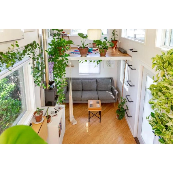 Cozy-Small-Apartment-Living-Room-Plants