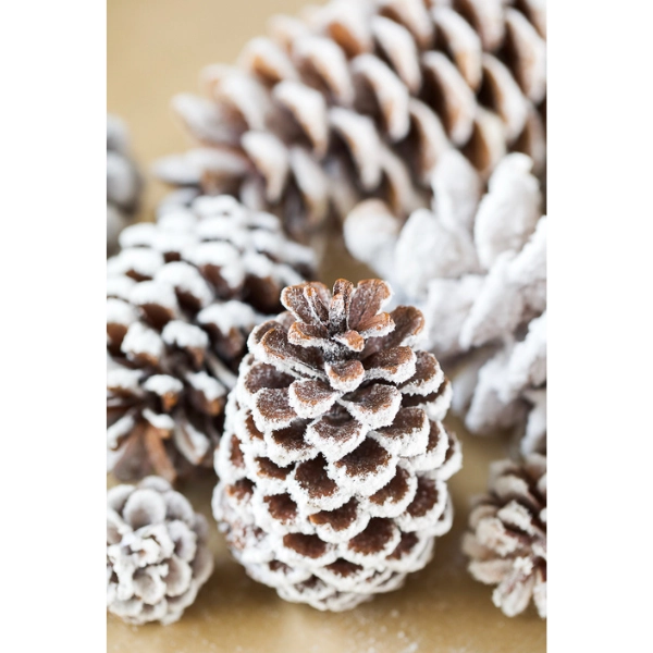 DIY-Christmas-Decor-Snow-Covered-Pinecones