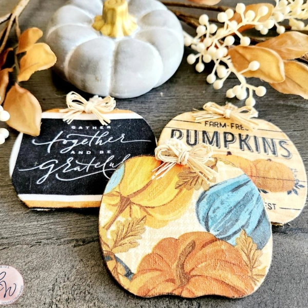 Fall-Decor-Ideas-for-Home-Fall-Themed-Coasters