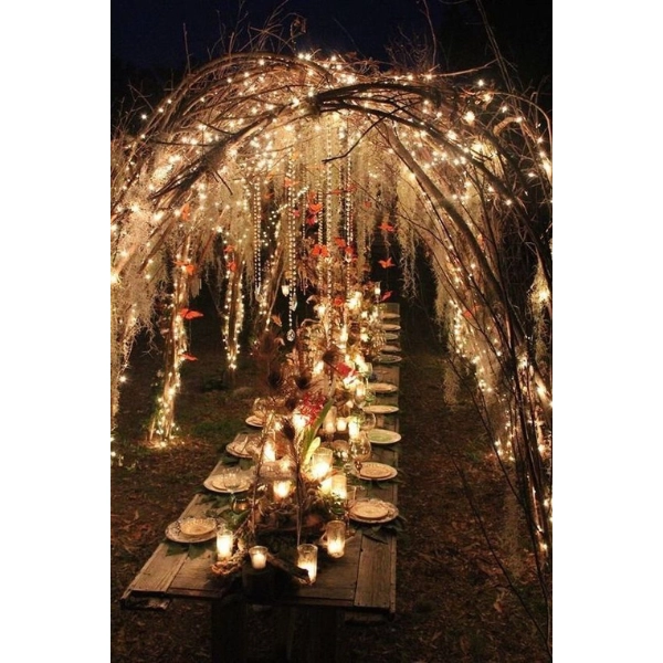 Forest-Fairy-Wedding-Ideas-Fairy-Lights