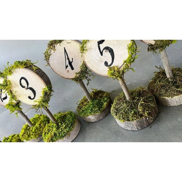 Forest-Fairy-Wedding-Ideas-Wooden-Table-Numbers