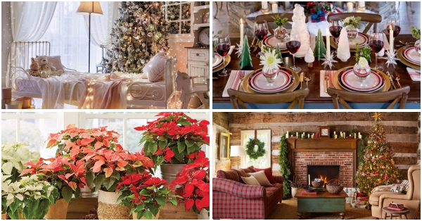 Living-room-Christmas-decorations