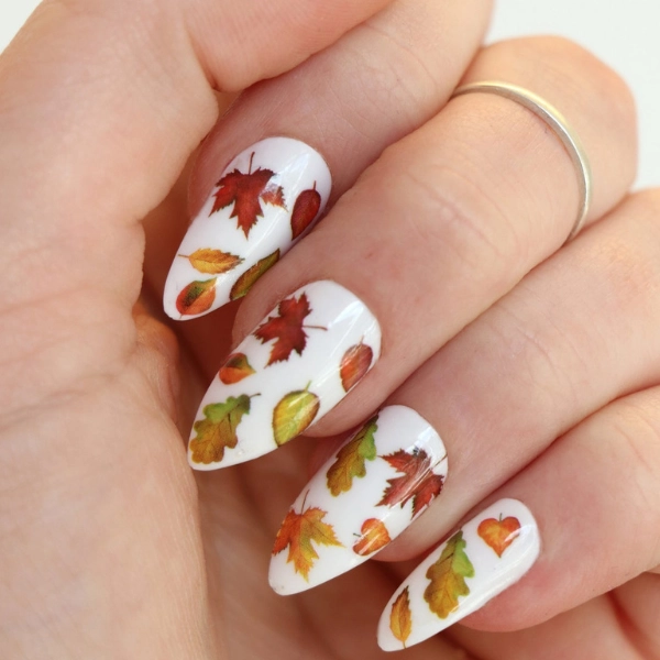 autumn-leaves-fall-nail-Leaf