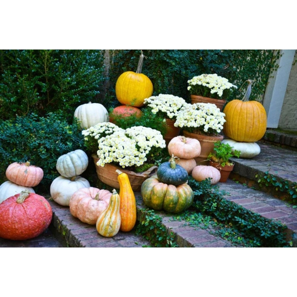 fall-decoration-Gourds-Display