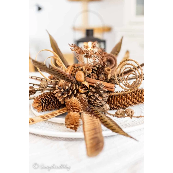 fall-decoration-Pinecone-Accents