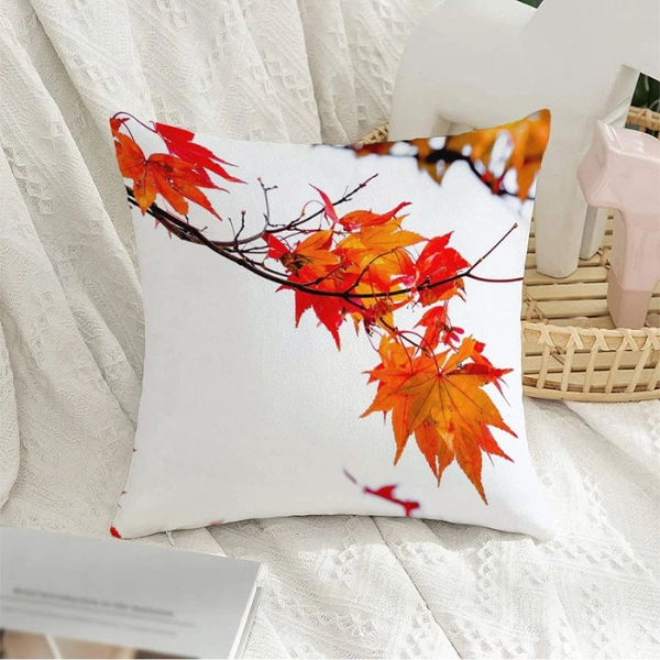 fall-decoration-Velvet-Cushions