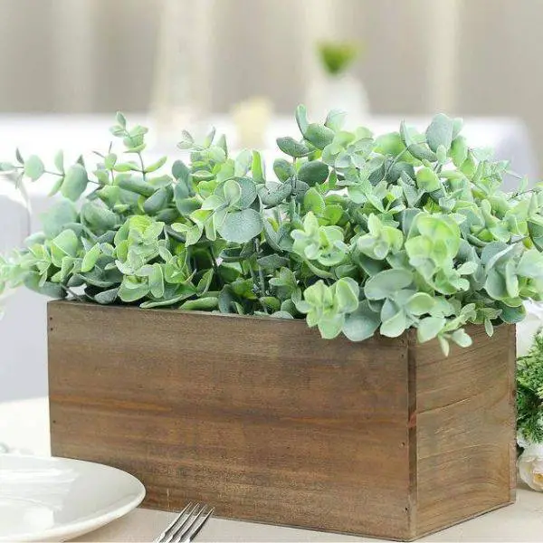 Succulent Planters in Wooden Boxes