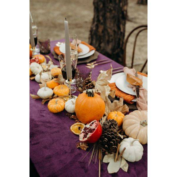  Pumpkins and Pinecones