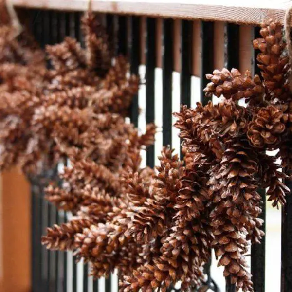  Pine Cone Garlands