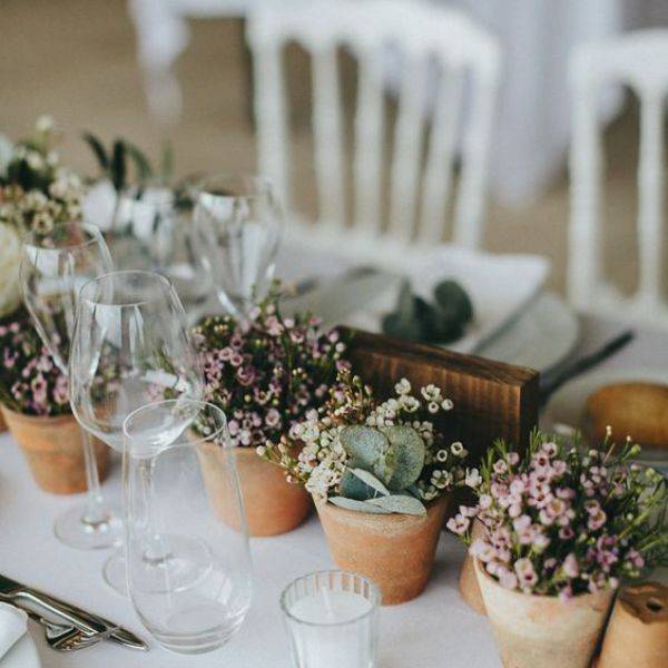  Rustic Terracotta Pots with Herbs