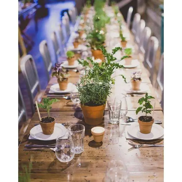 Herb Centerpieces