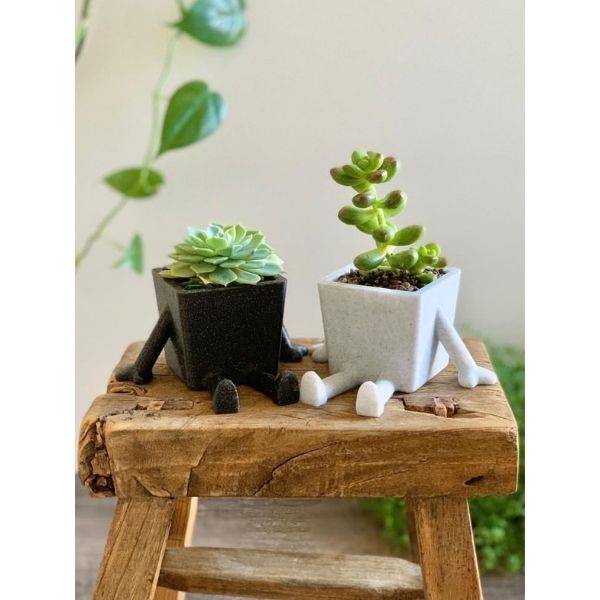  Clay Planter