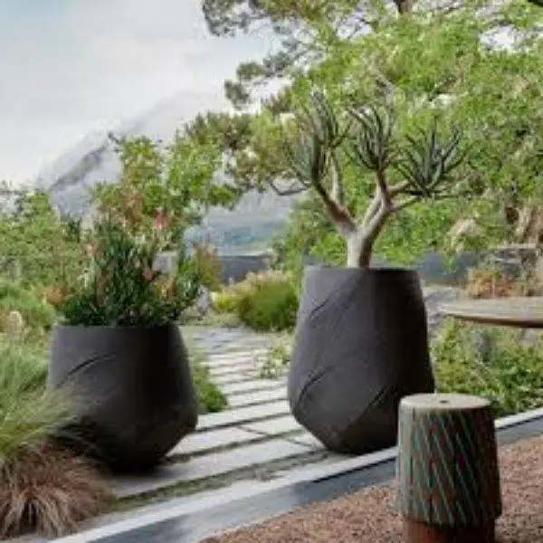 Concrete Planters