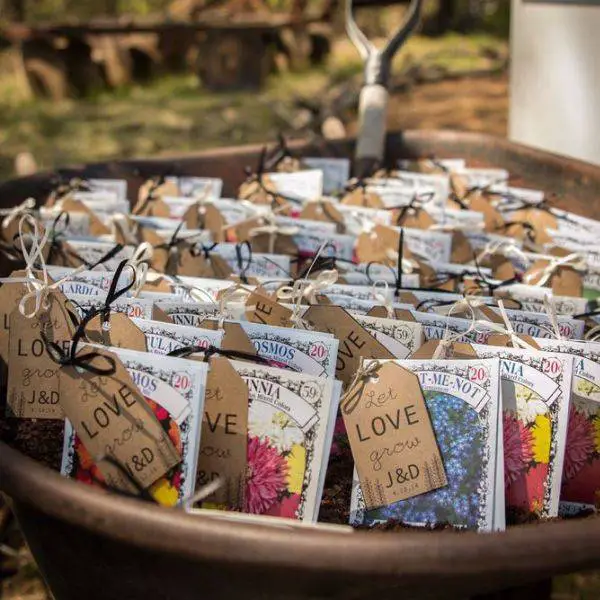 Wildflower Seed Packet Favors