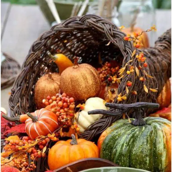  Cornucopia with Pumpkins