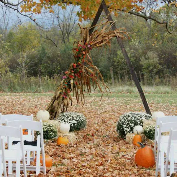 Corn Stalk Entrance