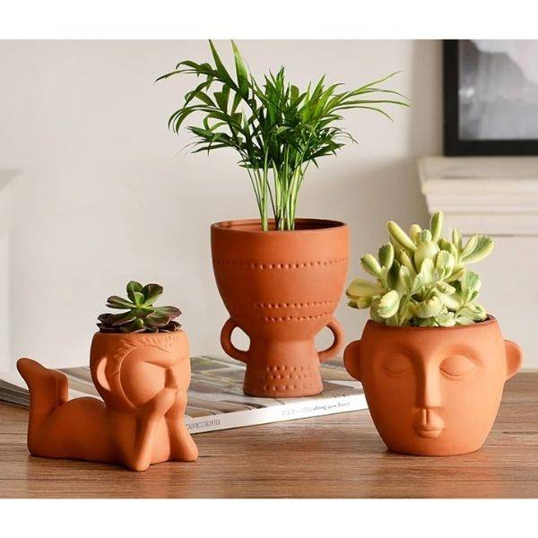 Terracotta Pots