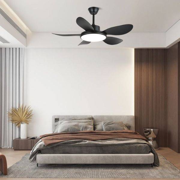  Install a Ceiling Fan