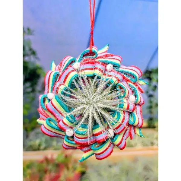  Clay Wind Spinner