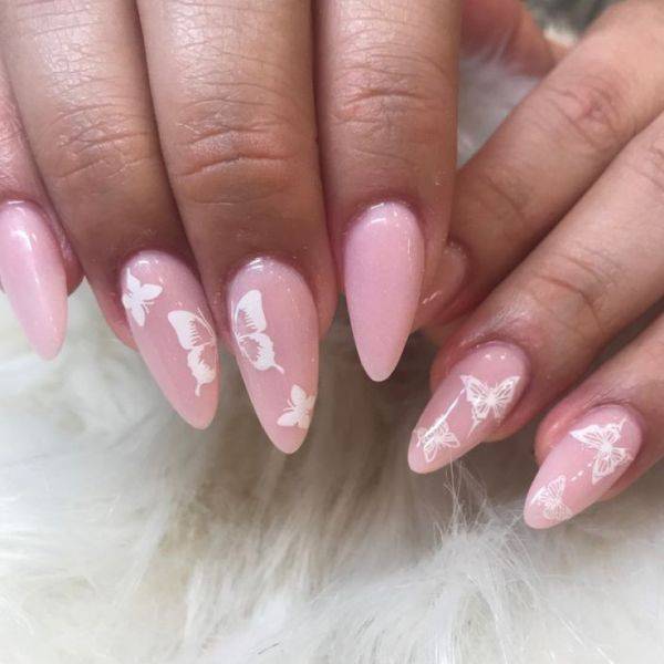  Light Pink with Butterfly Accents