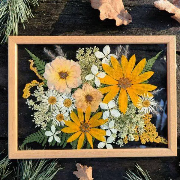 Pressed Flower Frames