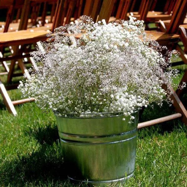 Galvanized Buckets with Baby’s Breath