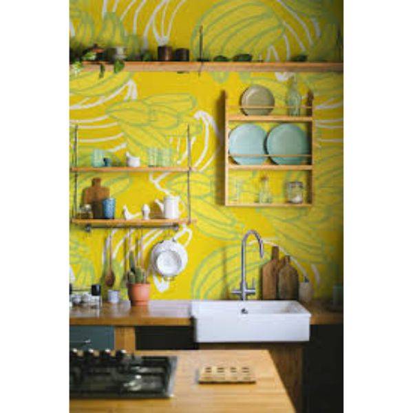 Vibrant Wall Murals