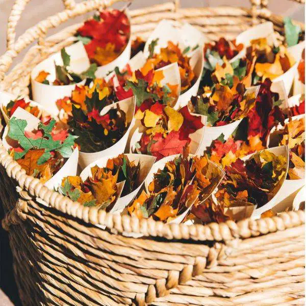 Autumn Leaf Confetti