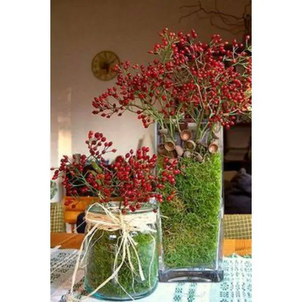 Mason Jar with Cranberries and Evergreen