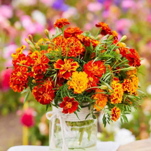 Mason Jar with Marigolds and Gourds