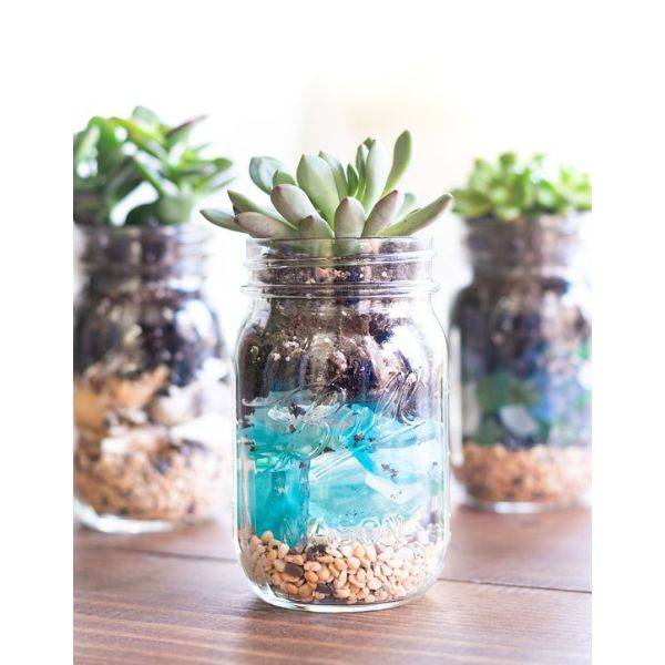 Rustic Mason Jar with Moss and Succulents