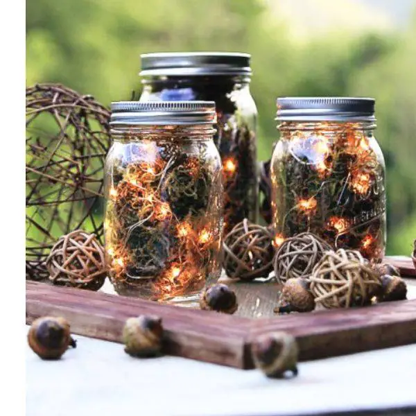 Rustic Mason Jar with Twigs and Fairy Lights