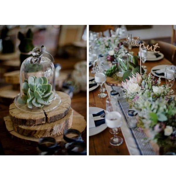  Rustic Wooden Log Slices with Succulents