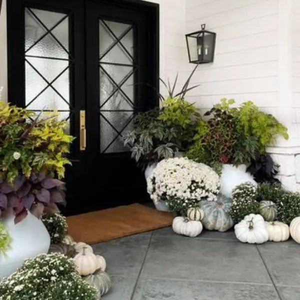 Modern Planters with Pumpkins