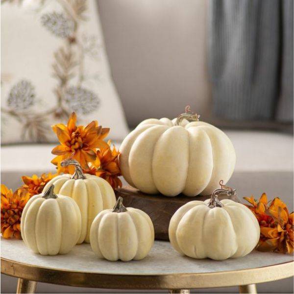 . Neutral Pumpkin Display