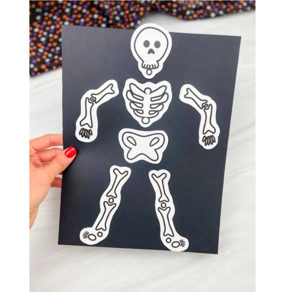  Paper Skeleton