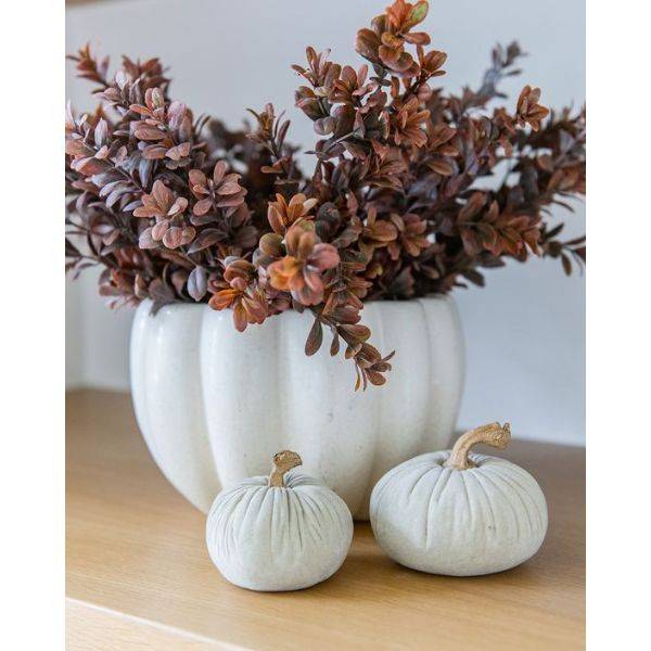 . Velvet Pumpkins