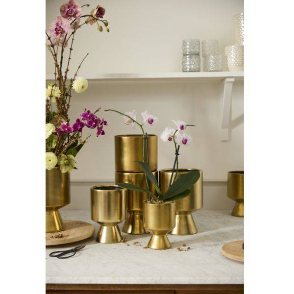  Brass Accents on Counter