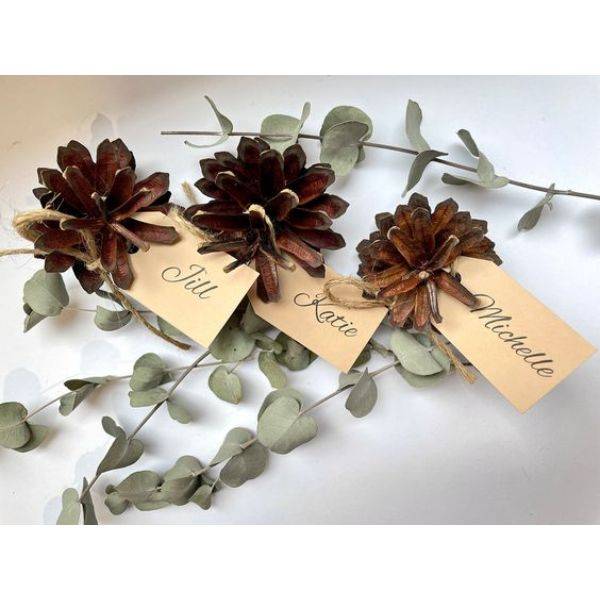 Pinecone Place Cards