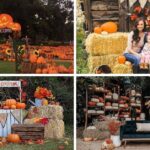 Modern Fall Decor Ideas for 2024