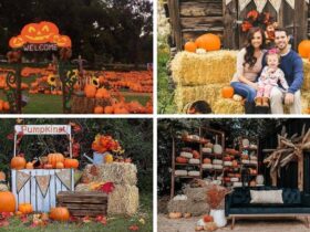 Modern Fall Decor Ideas for 2024