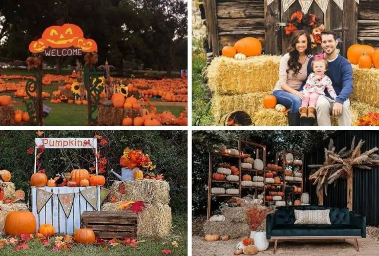 Modern Fall Decor Ideas for 2024