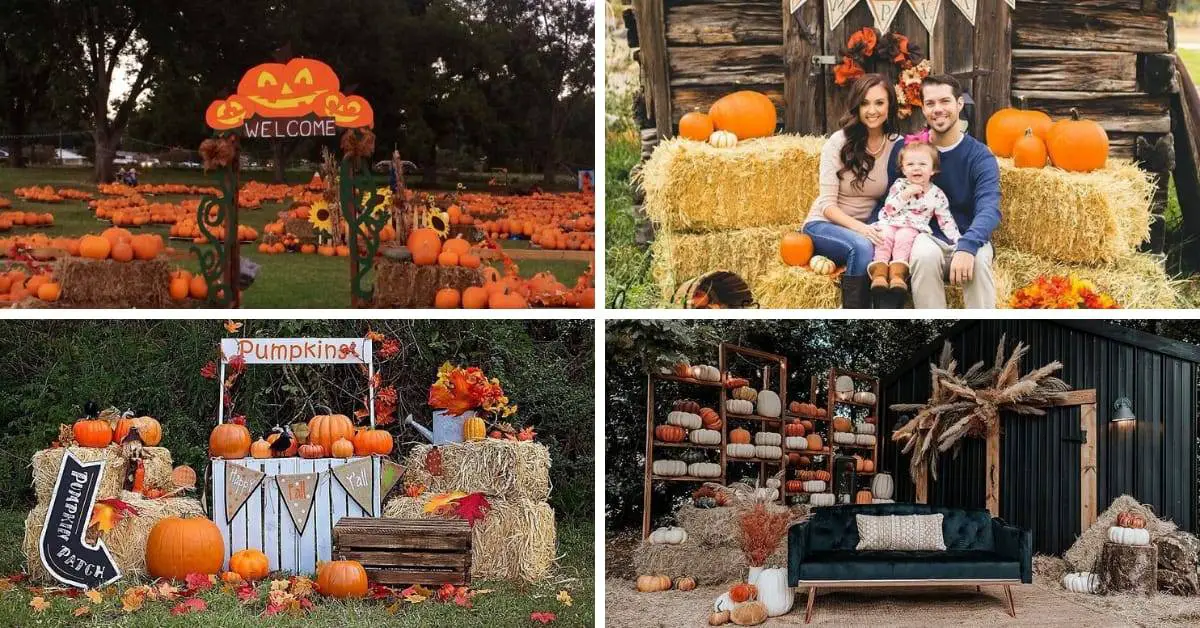 Modern Fall Decor Ideas for 2024