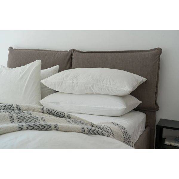 Organic Cotton Pillows