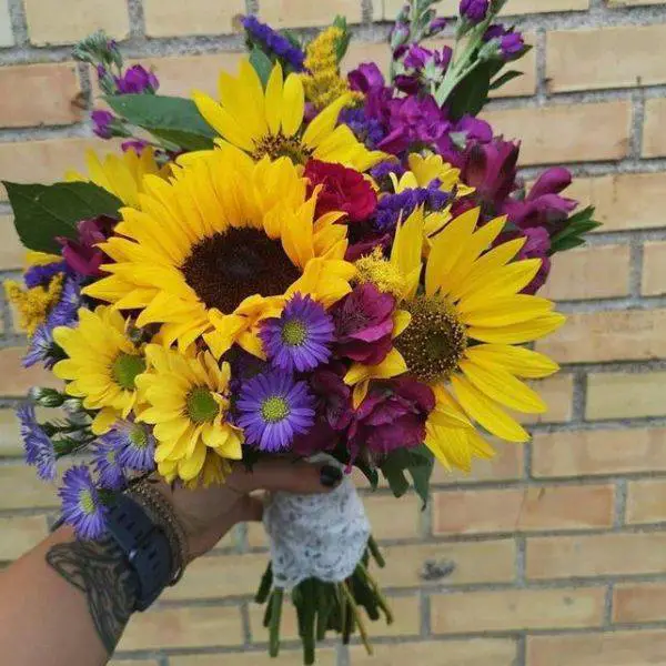 Sunflowers and Purple Asters