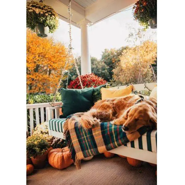 Wooden Porch Swing