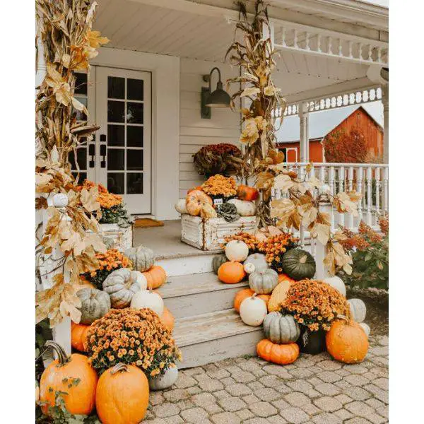 Pumpkin and Gourd Display