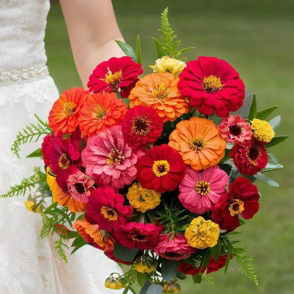 . Orange and Yellow Zinnia Bouquet