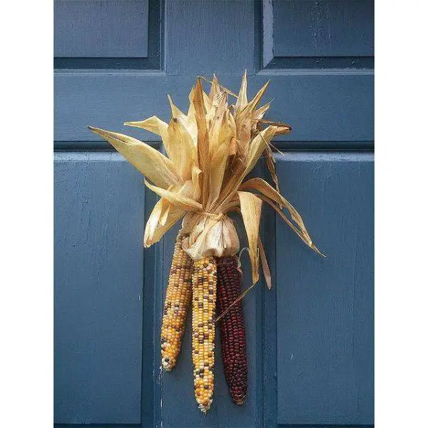 Dried Corn Decorations